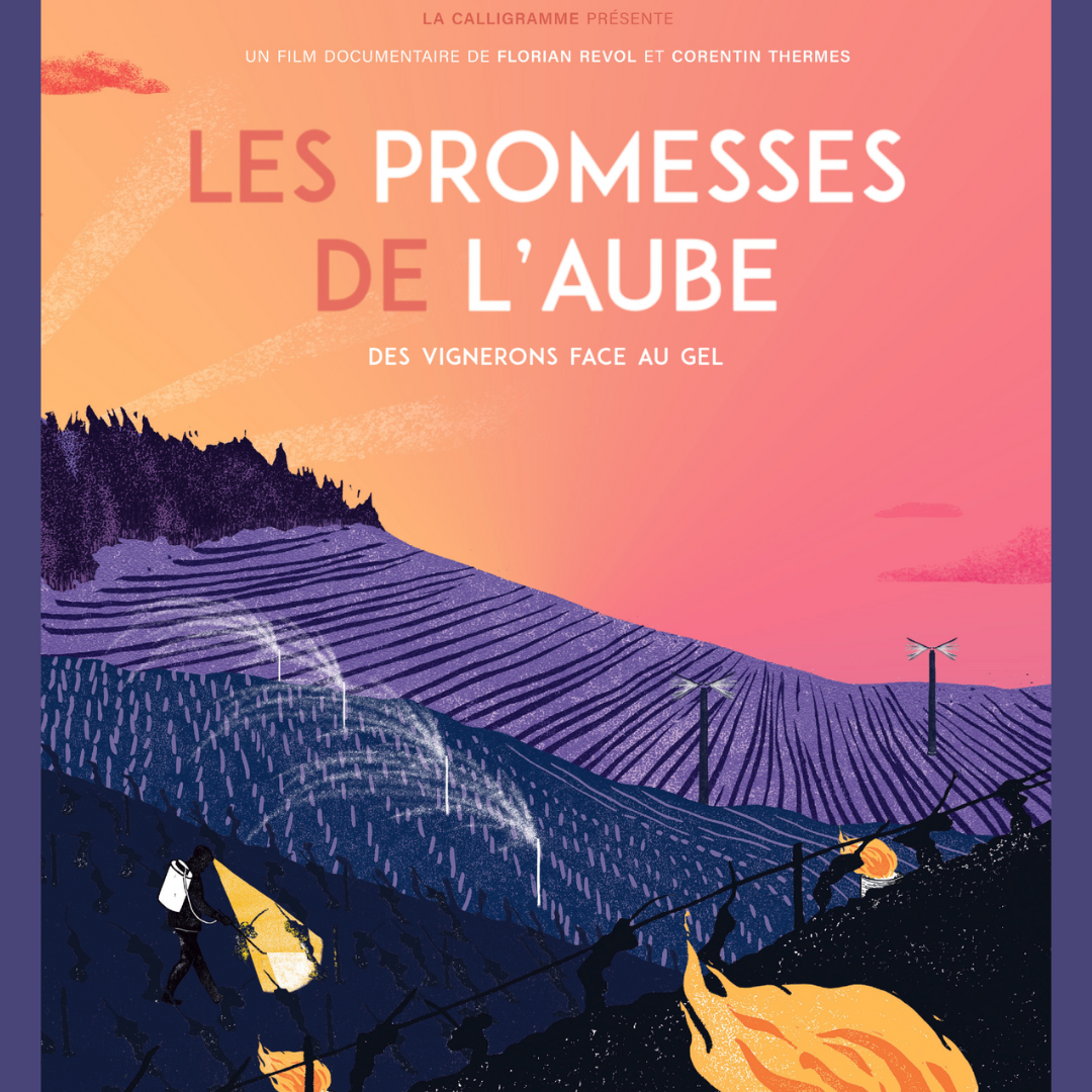 Film Documentaire Les Promesses De L Aube IVBD